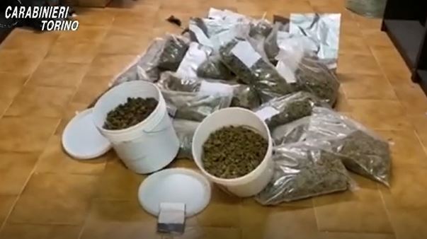 Piantagione di “maria” nel retro del negozio: arrestato 59enne
