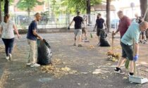 Lodevoli volontari ripuliscono i giardini di Borgata Lesna