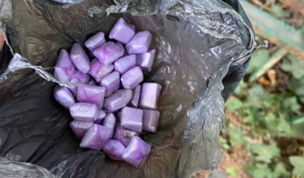 Crack tra le aiuole: arrestato pusher al Parco del Valentino