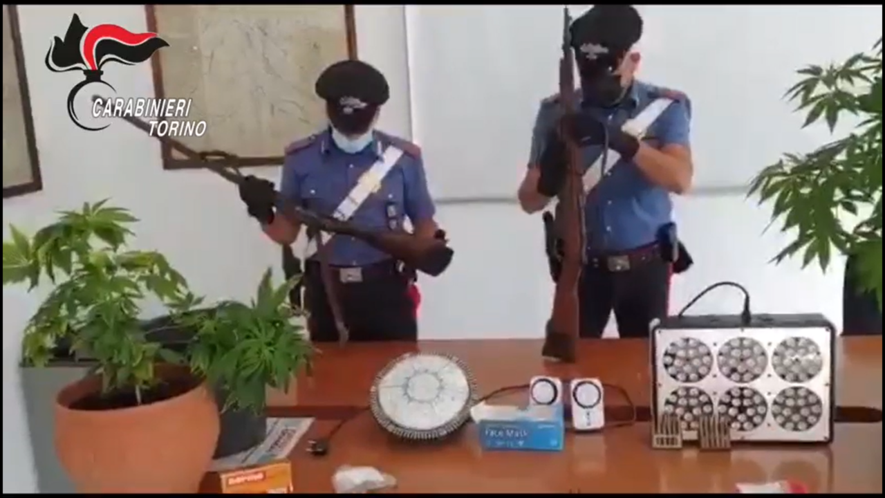 In casa due fucili, cento munizioni e marijuana: 26enne arrestato