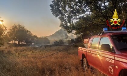 Le foto dell'incendio a San Giorgio di Susa, in fiamme mezzo ettaro di vegetazione