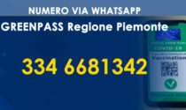 Numero dedicato via whatsapp per informazioni sul Green pass