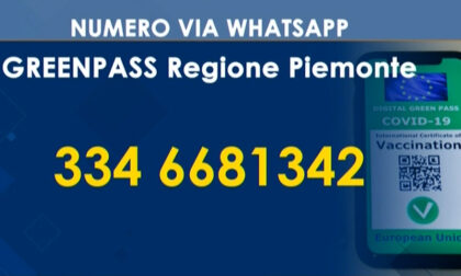 Numero dedicato via whatsapp per informazioni sul Green pass