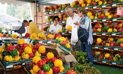 A Carmagnola torna la Fiera Nazionale del Peperone dal 27 agosto al 5 settembre