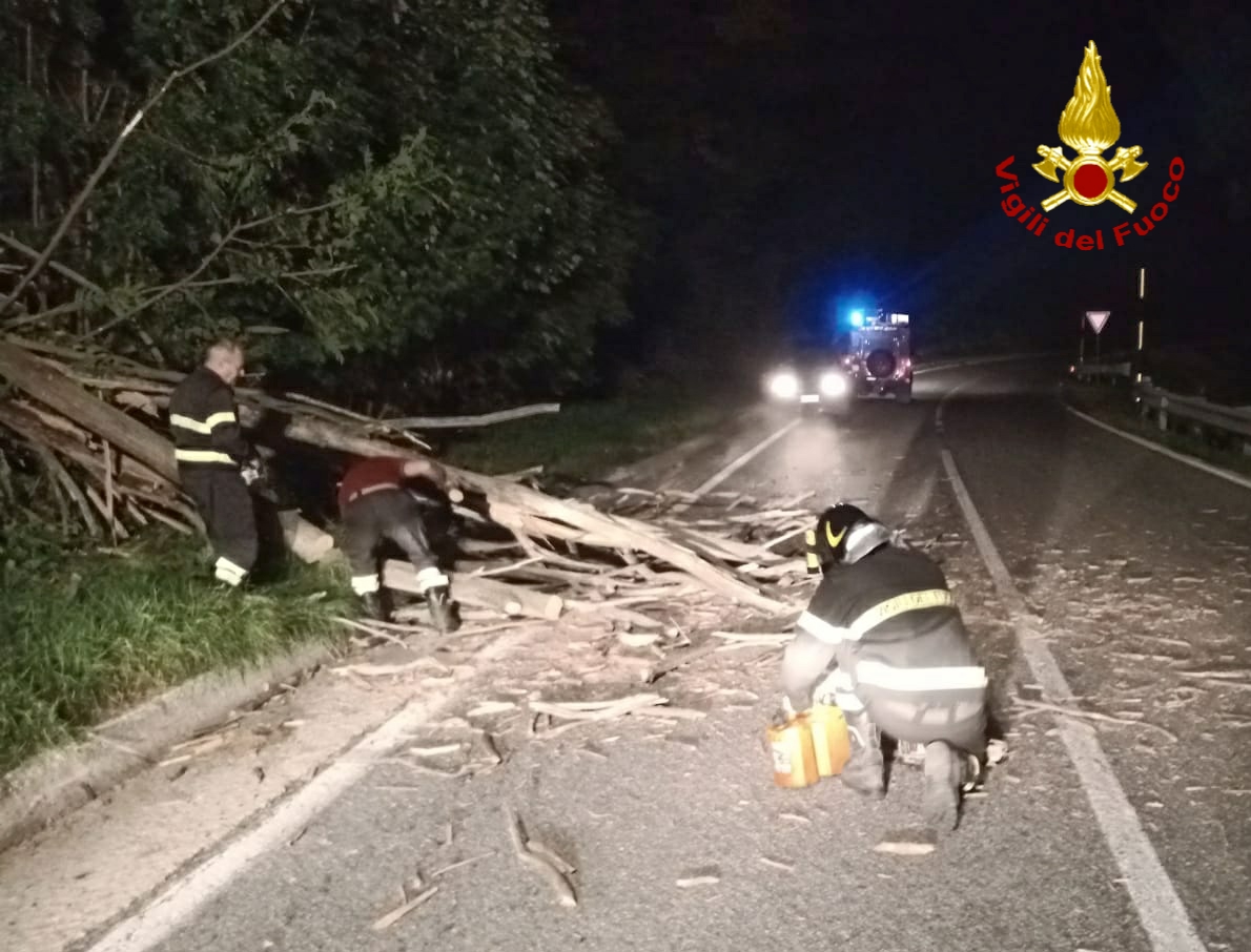Albero cade sulla carreggiata, arrivano i Vigili del Fuoco con la motosega
