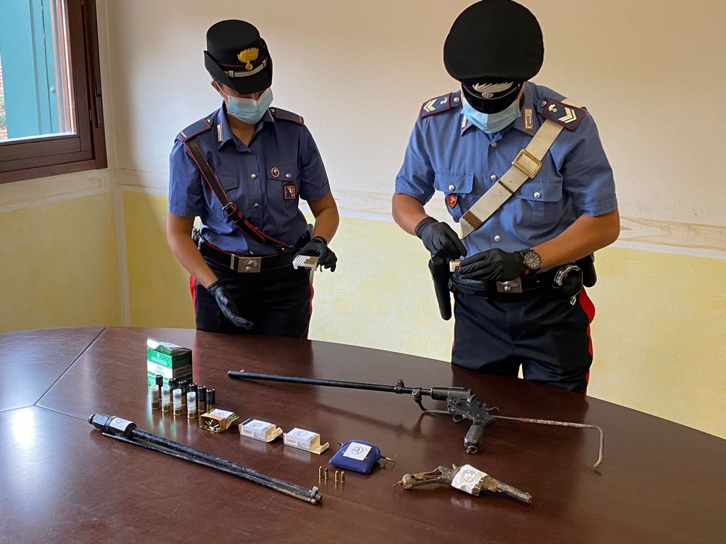 Gelsomino, palme e marijuana nel giardino della sua ditta: 60enne arrestato dai carabinieri