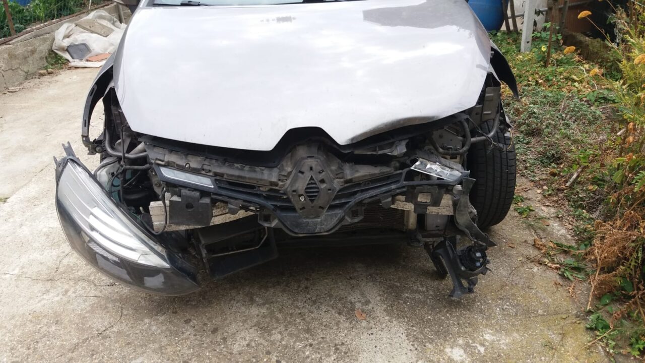 Dramma sfiorato: auto finisce contro un cinghiale sulla ex590