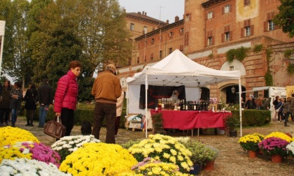Orti e fiori in mostra a Moncalieri: è il festival del pollice verde