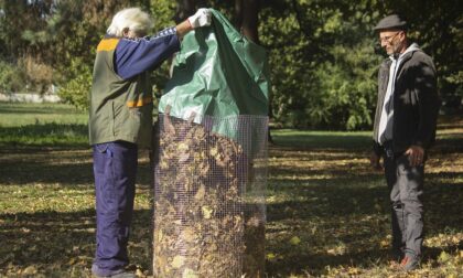 Giardinaggio per ex-tossici e alcolisti: ottima idea dell'AslTo3 a Collegno