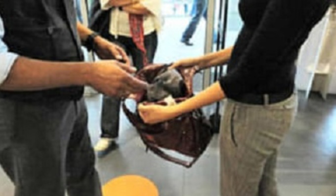 Ladra tunisina ruba frutta secca per 200 euro, inseguita e arrestata