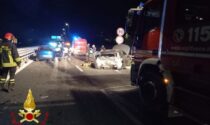Cinghiali attraversano la tangenziale: ambulanza e 2 auto coinvolte nell'incidente