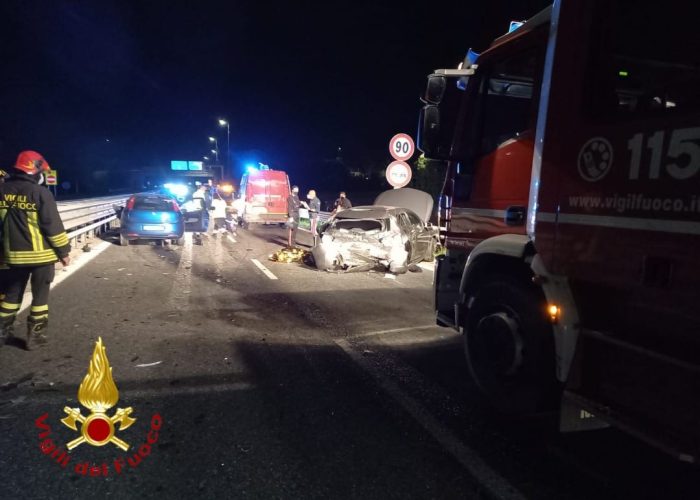 Cinghiali attraversano la tangenziale: ambulanza e 2 auto coinvolte nell’incidente