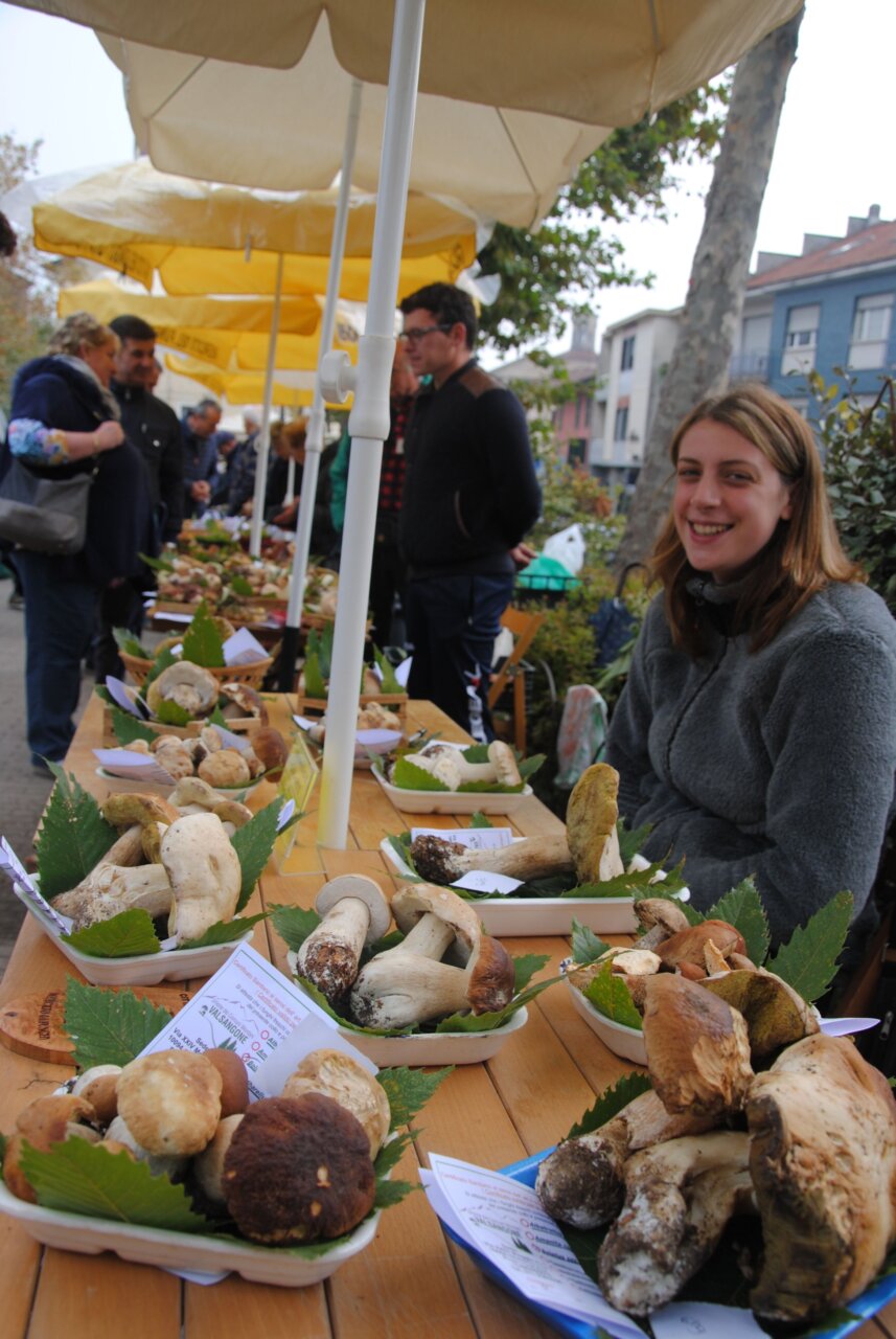 mercato_funghi_Giaveno_repertorio_1