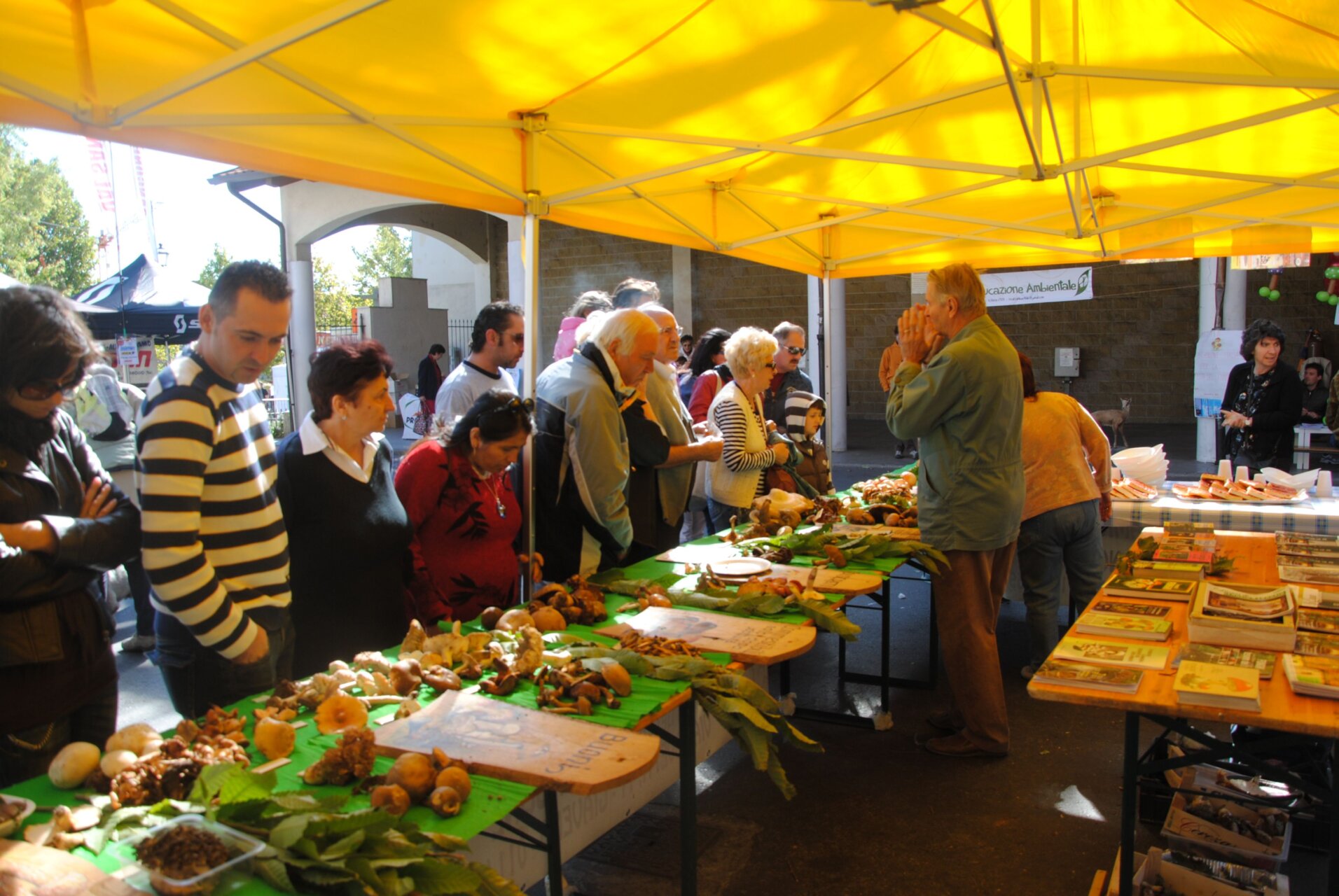 mercato_funghi_Giaveno_repertorio_2