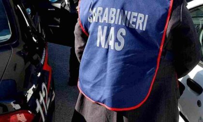 Concorsi universitari truccati: 33 persone denunciate, tra cui 24 docenti