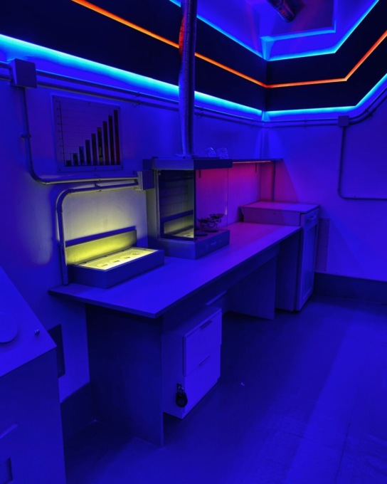 Escape Room a Torino: le esperienze realistiche di Cronos