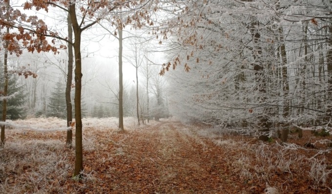 Previsioni meteo a Torino e in Piemonte (17-18-19 gennaio 2025)