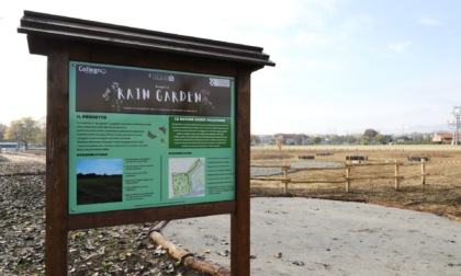 Inaugurato il primo Rain Garden per raccogliere l'acqua piovana