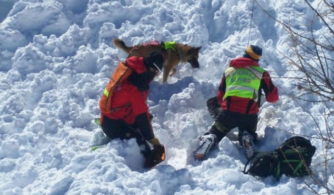 Con l’arrivo della neve sulle Alpi tornano operative le unità cinofile da valanga