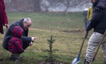 Varisella e Collegno uniti dallo spirito ecologista: alberi piantati per salvare la Natura