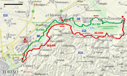 Nasce la foresta condivisa: 200 km di verde da Torino a tutto il Piemonte