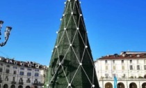 Albero di Natale: quest'anno in piazza Vittorio è arrivato "zerbino"