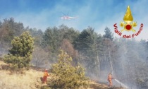 Forti raffiche di vento, numerosi interventi per alberi caduti e pali pericolanti