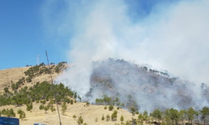Vasto incendio boschivo sulle colline di Givoletto, lunghe operazioni di spegnimento