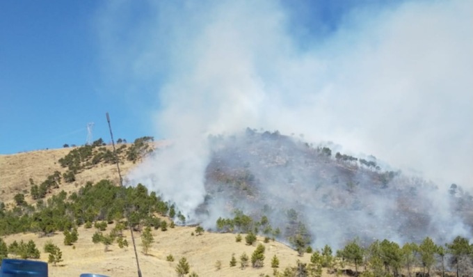Vasto incendio boschivo sulle colline di Givoletto, lunghe operazioni di spegnimento