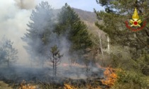 Le foto dell'incendio alle pendici del monte Musinè