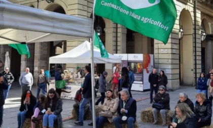 Agricoltori e allevatori sotto il Comune di Torino per dire "no" ad un'agricoltura fantasma