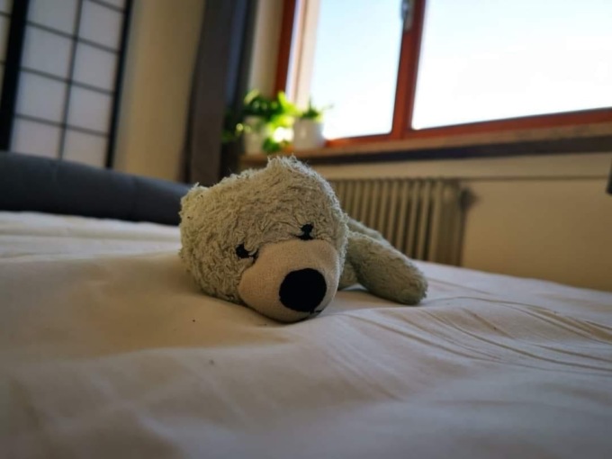 Perde alla fermata del bus il suo orsetto di peluche, la famiglia: “Diamo 200 euro a chi lo riconsegnerà”