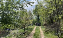Incidente ad Abbadia Alpina di Pinerolo: muore schiacciato dal suo trattore