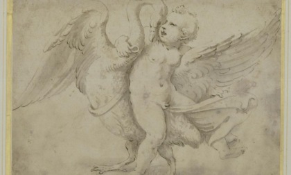 "Nel Segno di Raffaello", disegni del Rinascimento italiano dalle collezioni della Biblioteca Reale
