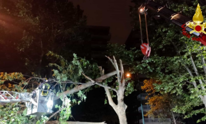 Notte di violenti temporali nel Torinese: grosso albero si abbatte su auto in sosta