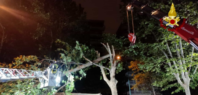 Notte di violenti temporali nel Torinese: grosso albero si abbatte su auto in sosta