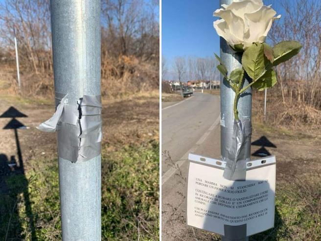 Ignoti rubano la rosa in ricordo del 16enne che morì in un incidente stradale. E’ accaduto a Caselle