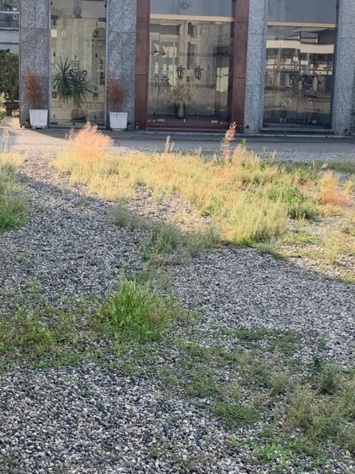 Nichelino, cimitero in pieno degrado. E’ di nuovo polemica sui social