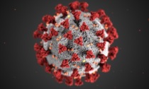 Ateneo Torino capofila del progetto di sviluppo antivirale contro il coronavirus