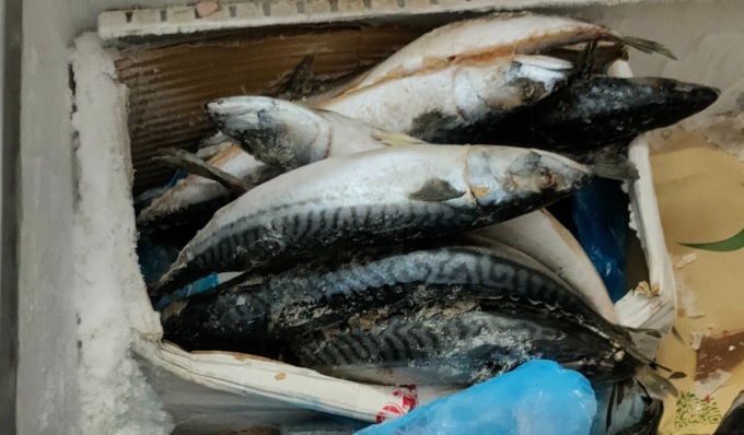 Alimenti mal conservati: sequestrati 280 chili di carne e pesce in minimarket