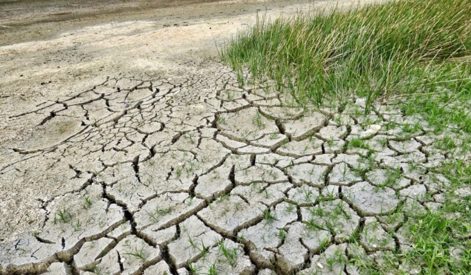 Siccità, Regione Piemonte chiede lo stato di calamità per l’agricoltura