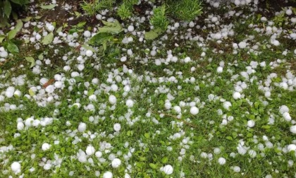 Agricoltura, l’assessore Bongioanni: “Assegnati cinque milioni di euro a 257 aziende agricole per reti antigrandine e interventi antigelo”