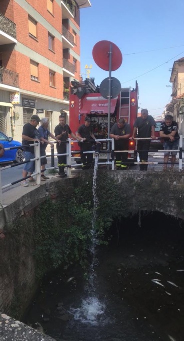Carmagnola, siccità: pesci salvati con 5mila litri di acqua