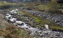 Perdita di soda caustica nel torrente Luserna: morti numerosi pesci