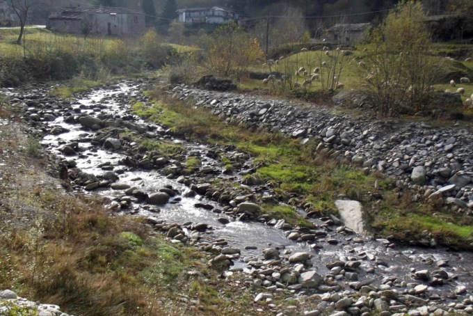 Perdita di soda caustica nel torrente Luserna: morti numerosi pesci