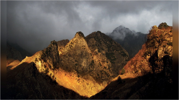 Un patrimonio verticale sulle Alpi: 1,2 milioni per far rinascere i terrazzi storici