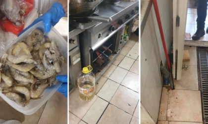 Nel ristorante cinese grasso sui pavimenti, immondizia e alimenti mal conservati: scatta la denuncia