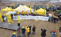 Coldiretti: "Stop al consumo di suolo. I campi sono fabbriche di cibo e vanno tutelati"