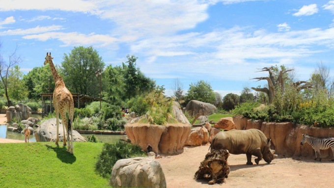 Cumiana, 80 bambini profughi ucraini accolti al bioparco Zoom