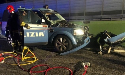 Incidente in Tangenziale, auto della Polizia investe mucca: quattro agenti feriti